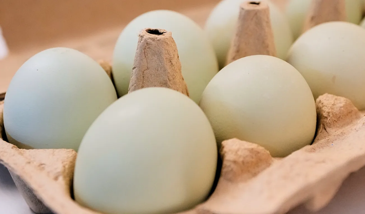 Egg prices climb in Europe before Easter, with biggest rises in some countries.